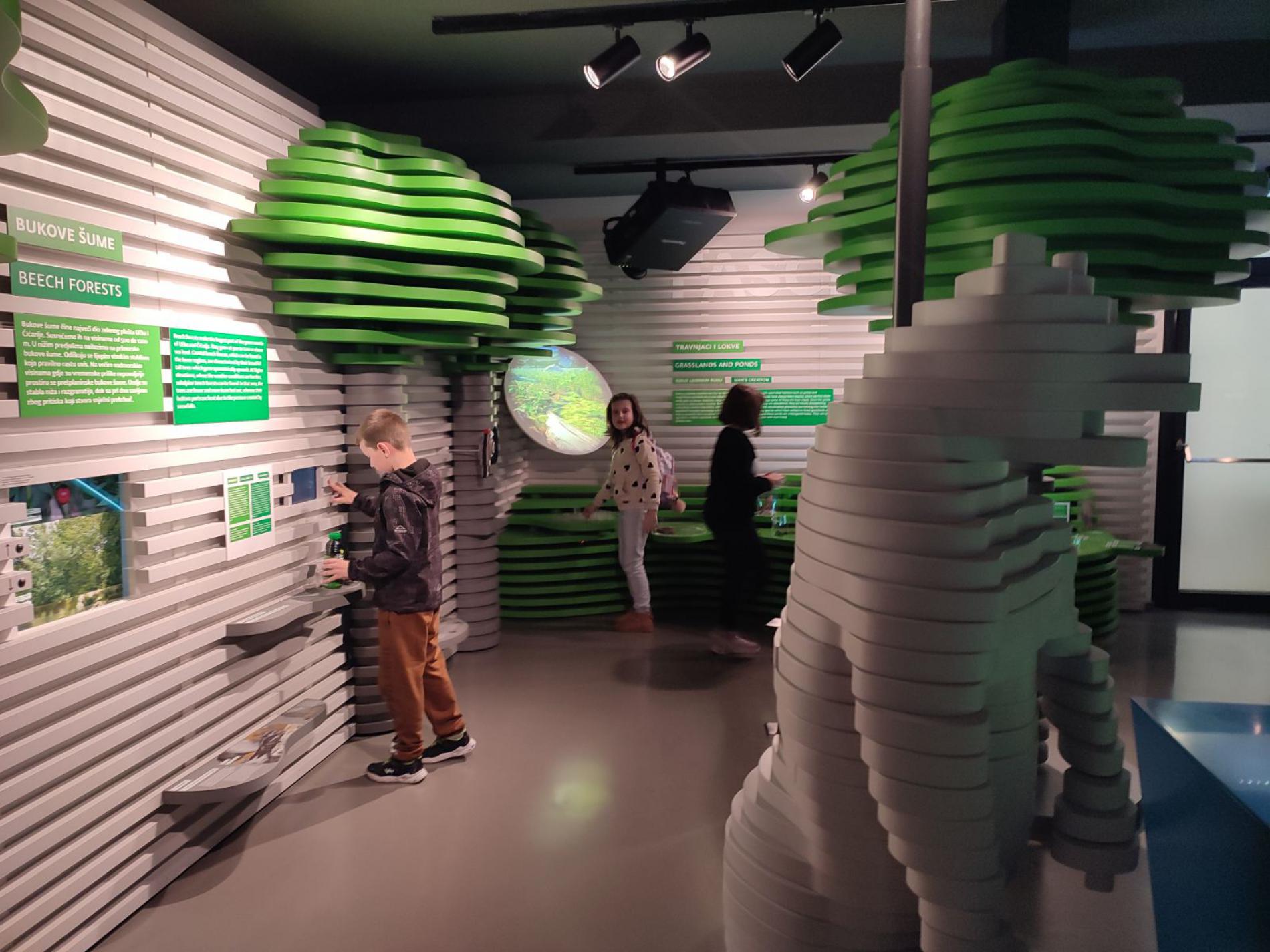 Pročitajte više o članku Terenska nastava Tragovima korijena – putevima Hrvatske; Istra