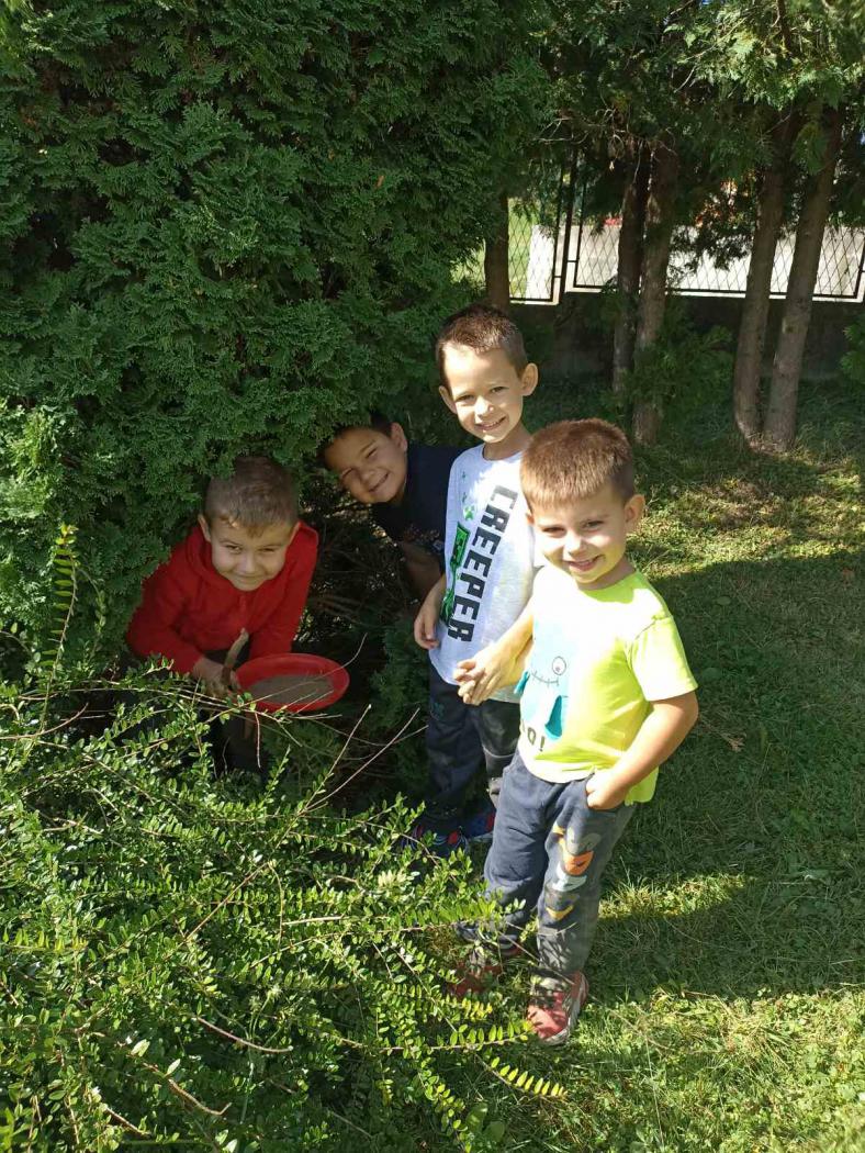 Pročitajte više o članku Aktivnosti predškolskog odgoja i obrazovanja – rujan